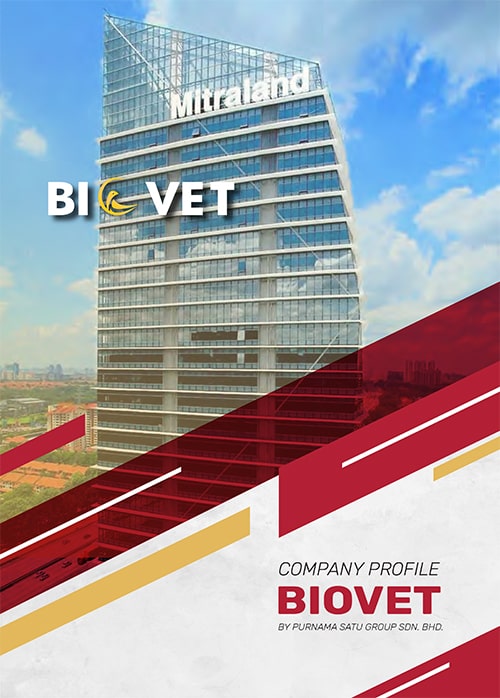 Company Profile Design
