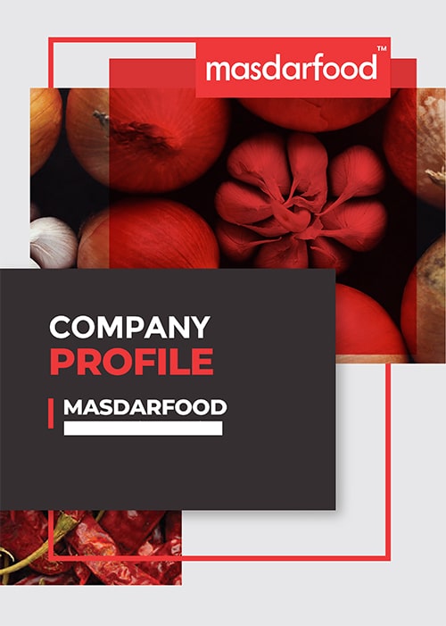 Company Profile Design