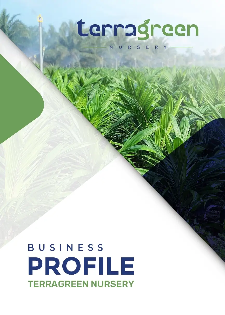 Company Profile Design